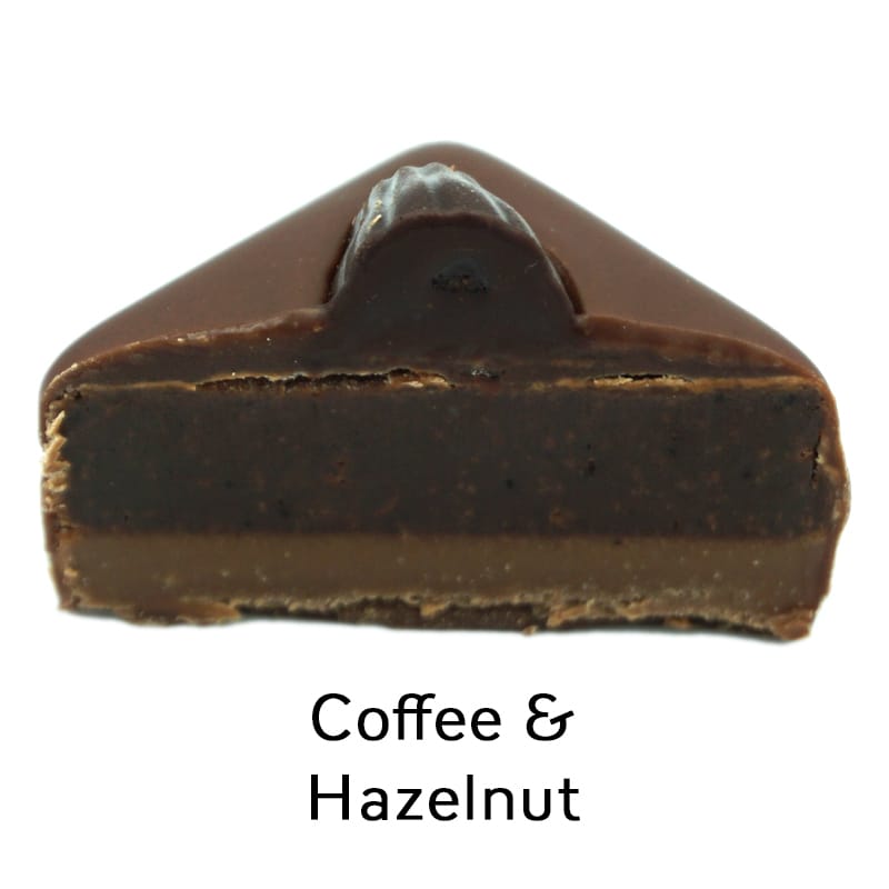 Chocolate Tree Medium Selection bonboniéra 15 ks bio