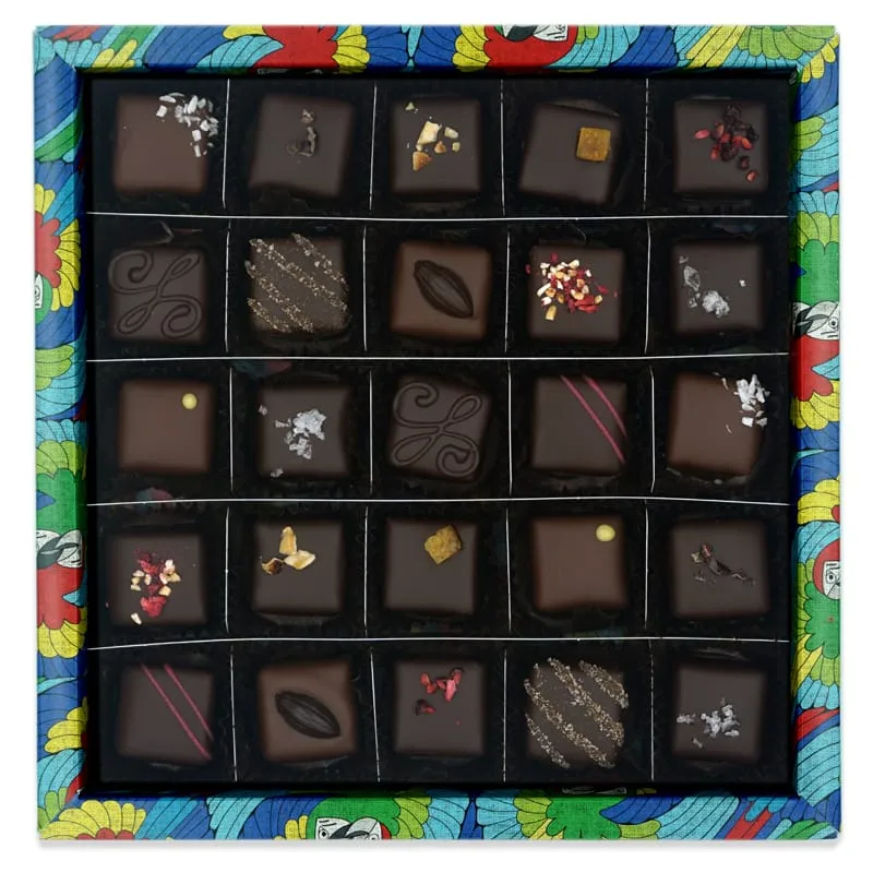 Chocolate Tree Large Selection bonboniéra 25 ks bio