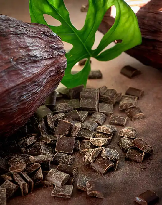 Kaoka hořké pecky Chunks 5 kg na pečení
