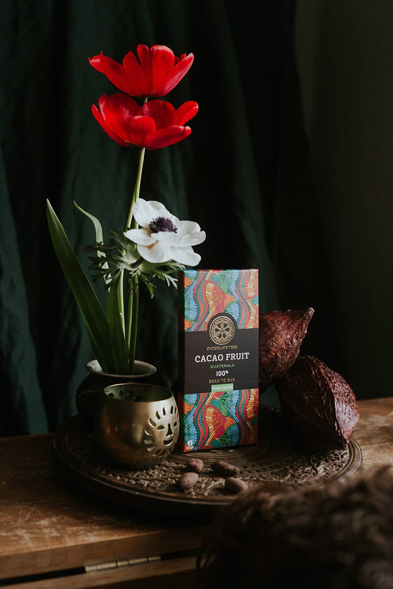 Chocolate Tree Cacao Fruit 100% hořká čokoláda 100% kakaa