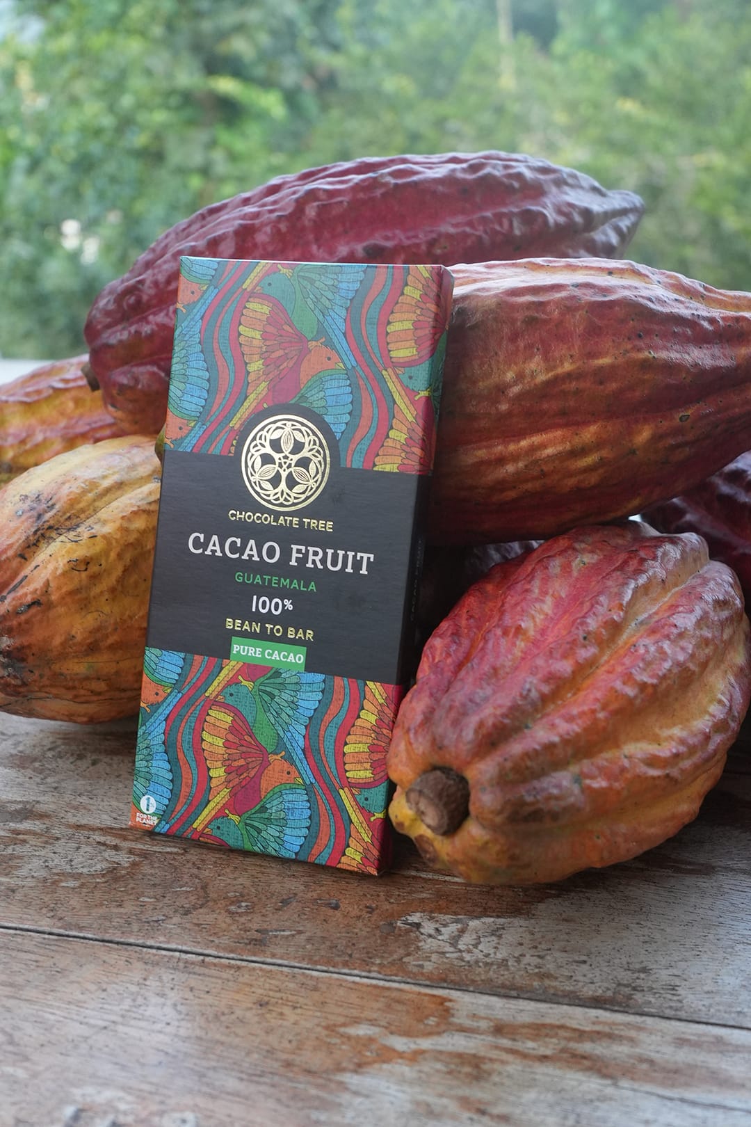 Chocolate Tree Cacao Fruit 100% hořká čokoláda 100% kakaa
